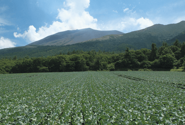 外食業界屈指の好労働環境と成長性あり。今後も経営全体の品質向上に注力します