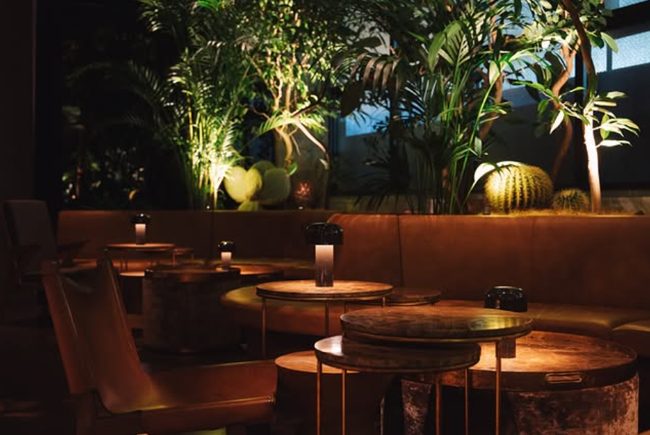 幻想的な森のような空間で、音と光に包まれるひとときを。