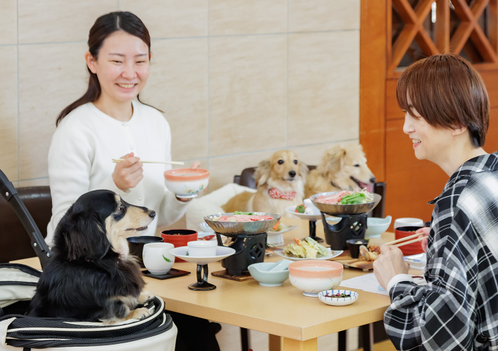 2025年2月にリニューアル。「亀の井ホテル 塩原」でサービススタッフを募集します。