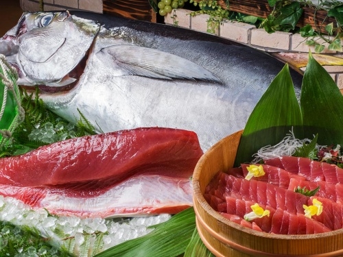 地元・那智勝浦の漁港に水揚げされた、新鮮な魚介類をふんだんに使用した料理をご提供。