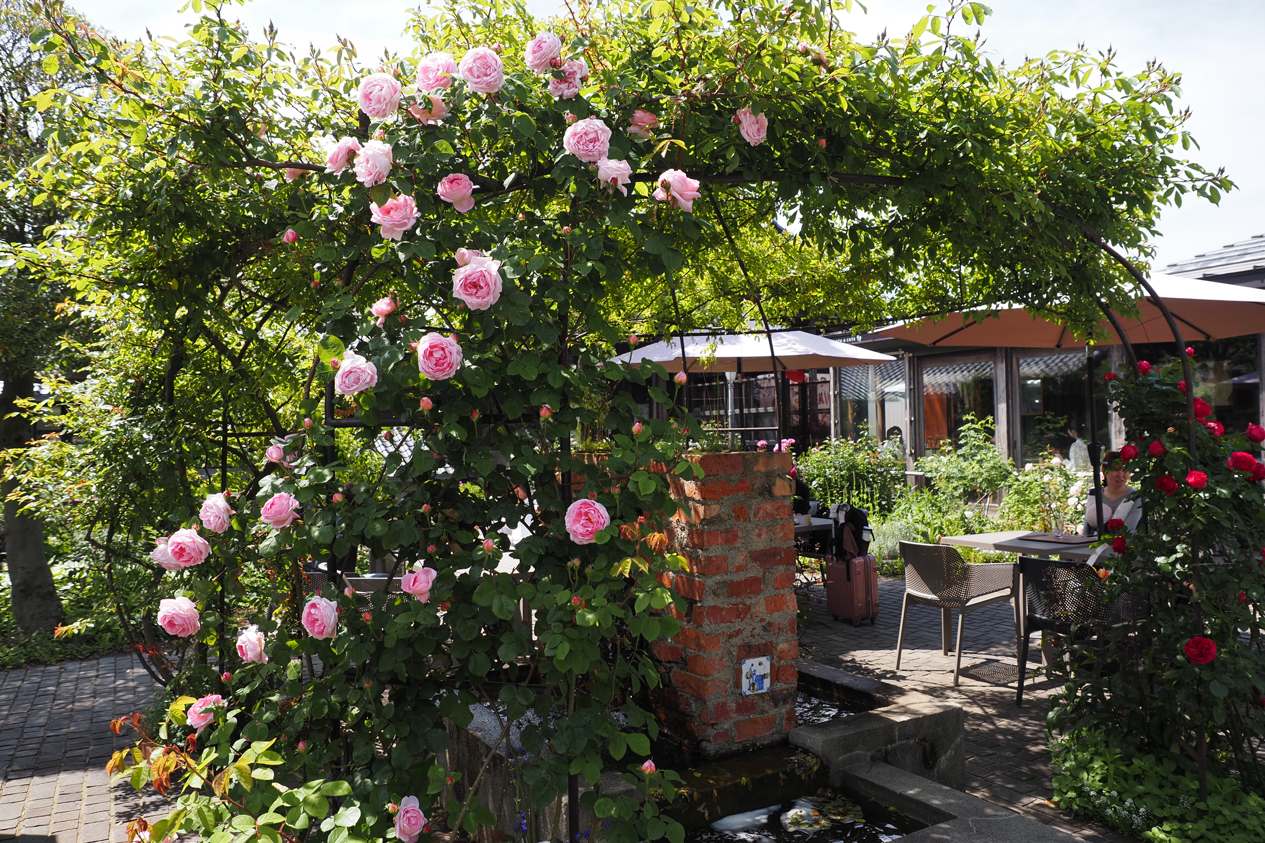 I・Uターンも多数在籍。自然豊かな土地で家族と暮らしを楽しむスタッフが多いです。