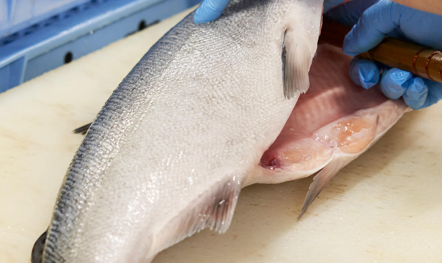 新鮮な魚をお客様のもとへ確実に届けることで、多くの人々の食卓に笑顔を届けています。