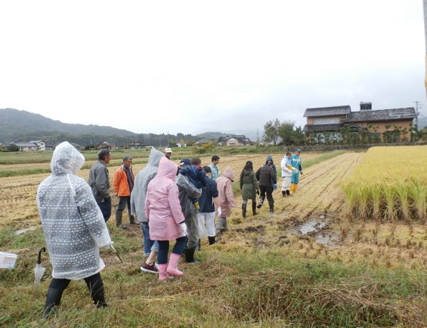 酒蔵体験や農家訪問など、生産者の想いに触れながら学べる機会もあり