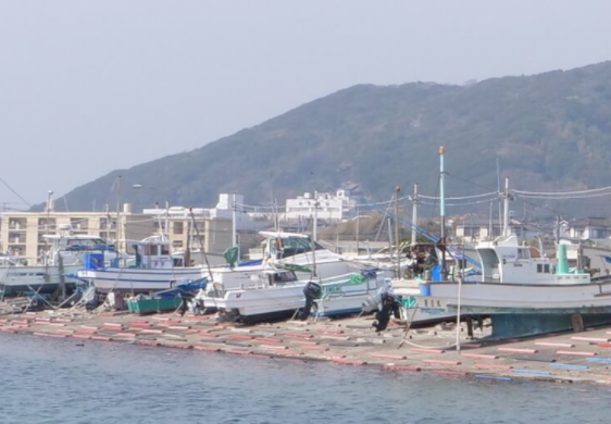 港の空気感をそのままに。自社トラックが産地から活きのいいネタを運びます