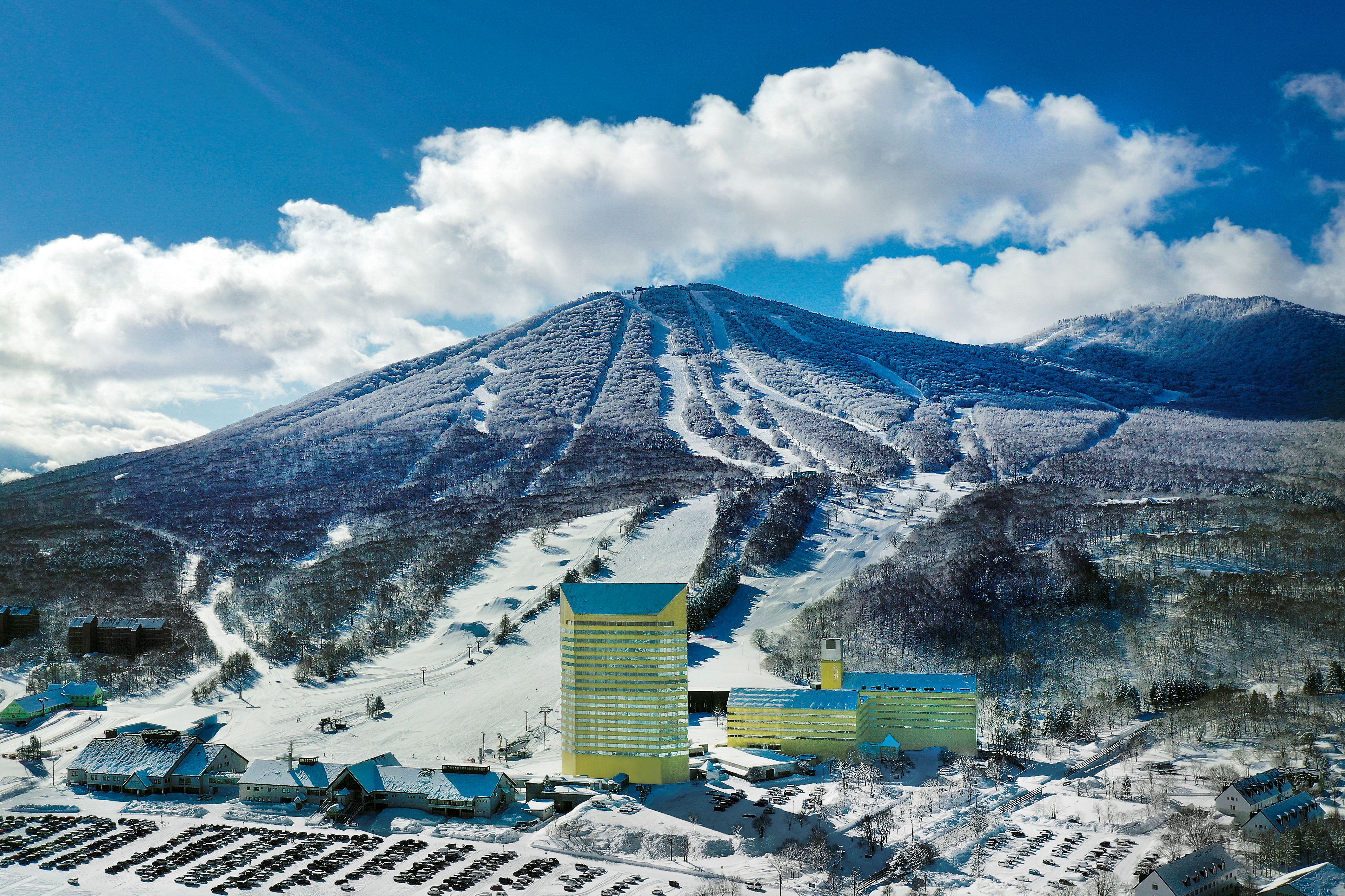 冬は極上の雪質を誇るスノーリゾートを、春～秋は美しい高原の風景をゆったりと味わうことができます。