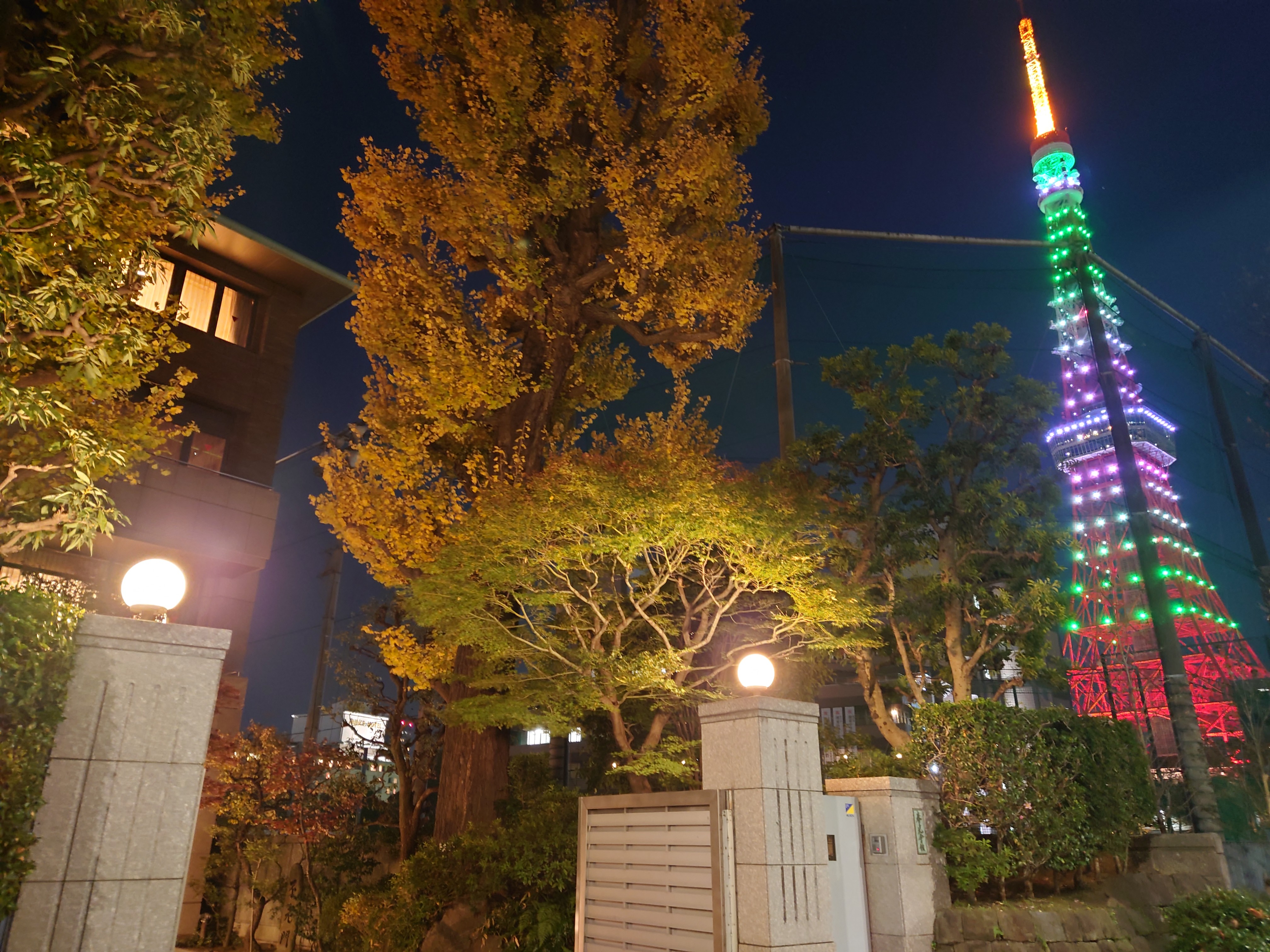 港区・神谷町の静かな一角。凛とした空気が漂います。