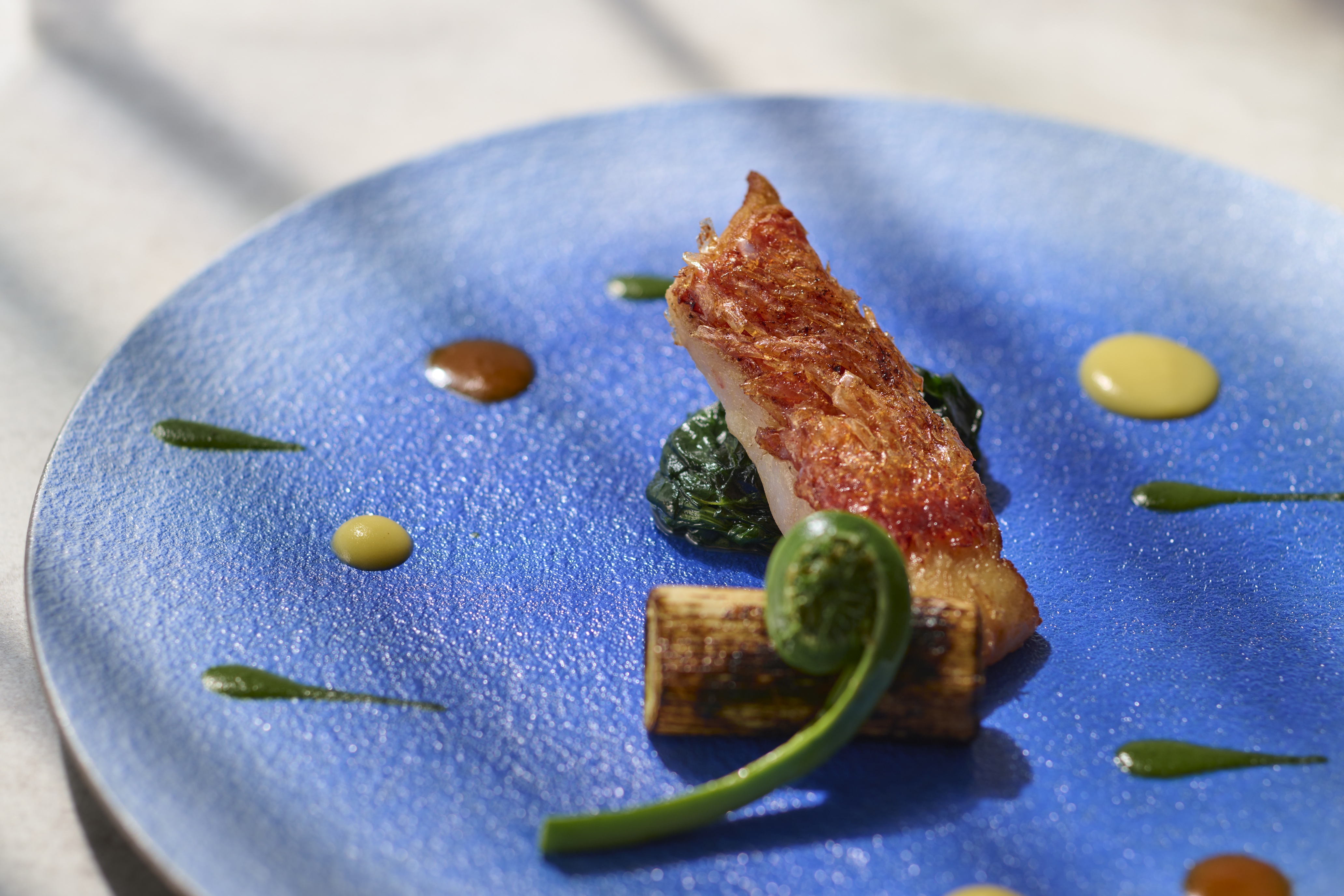 季節の食材を活かしたコース料理が中心。素材の魅力を引き出すフレンチの基本技術を学べます。