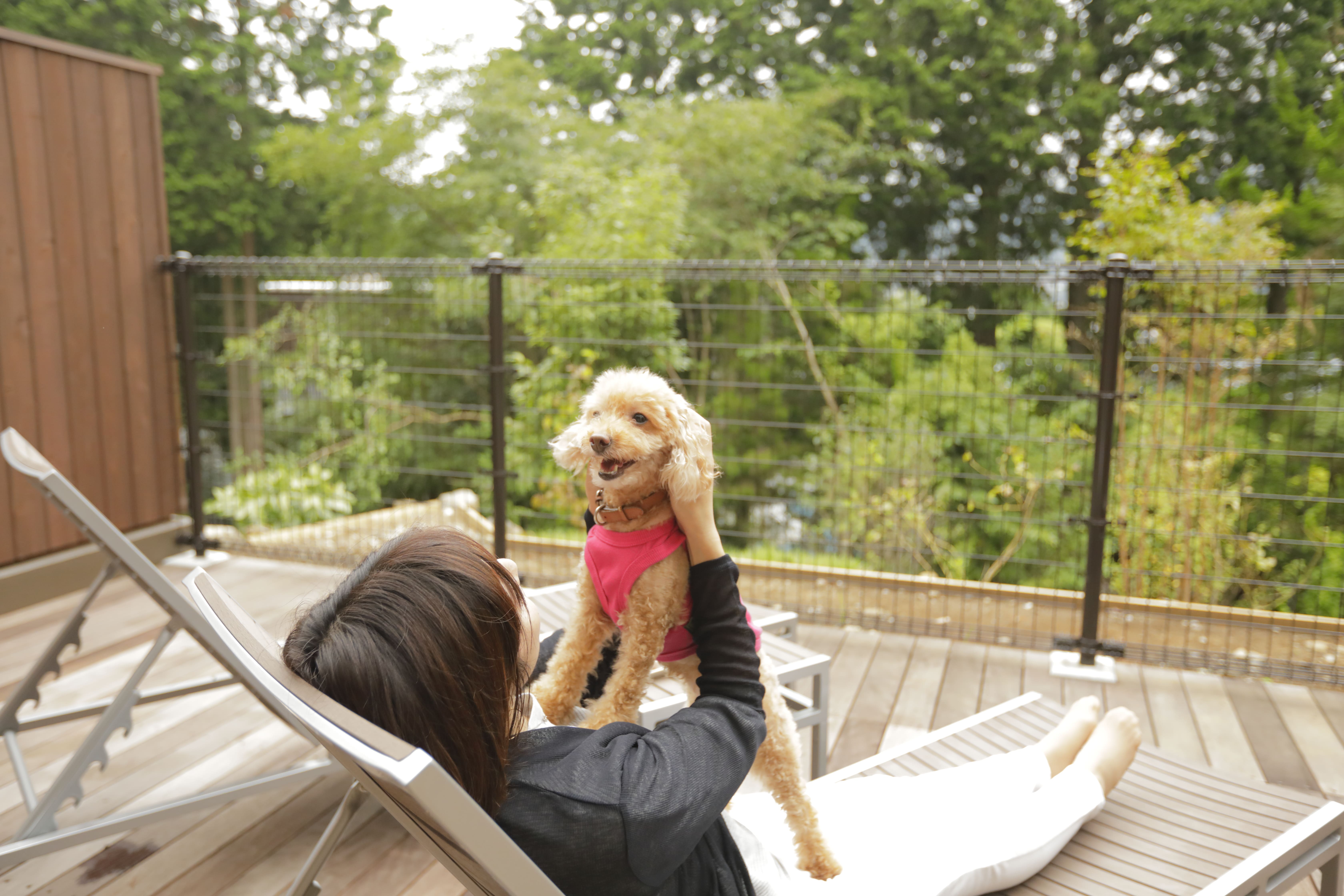 愛犬と泊まれるからこそ叶う、かけがえのない旅の思い出。