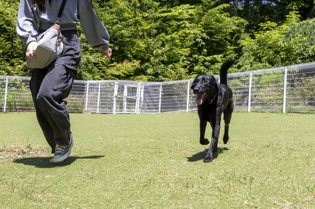 大切な愛犬と一緒に過ごせる上質なひととき。自然との調和も魅力。