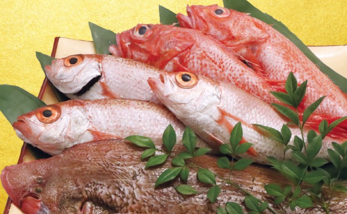 魚は毎朝、市場から仕入れ担当が直接仕入れており鮮度は抜群。寿司、一品料理の技術も磨ける環境です。