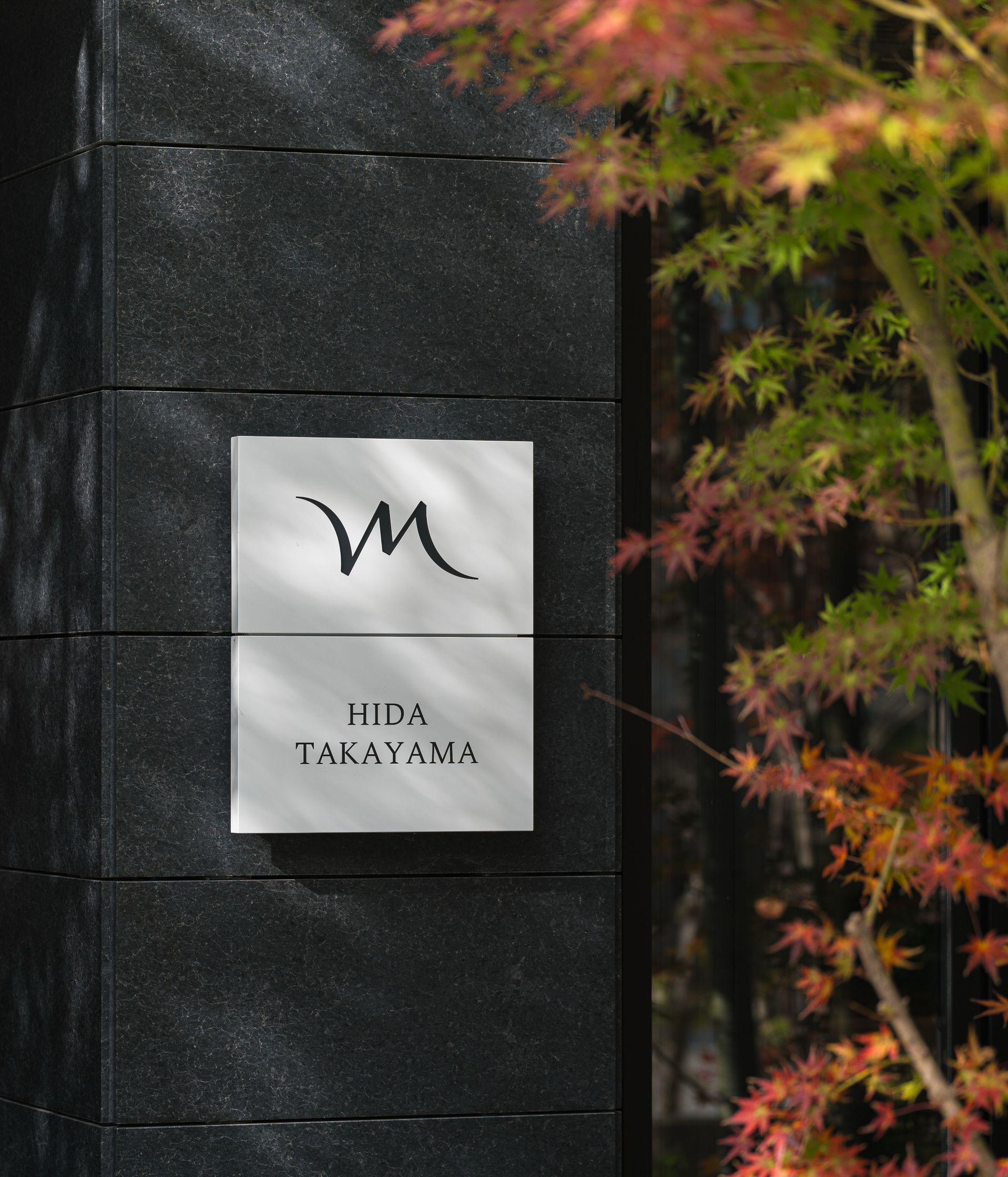 違いを認め合う仲間と、自分だけのキャリアを育てる。ここで磨く感性と技術は、世界の舞台でも通用する。