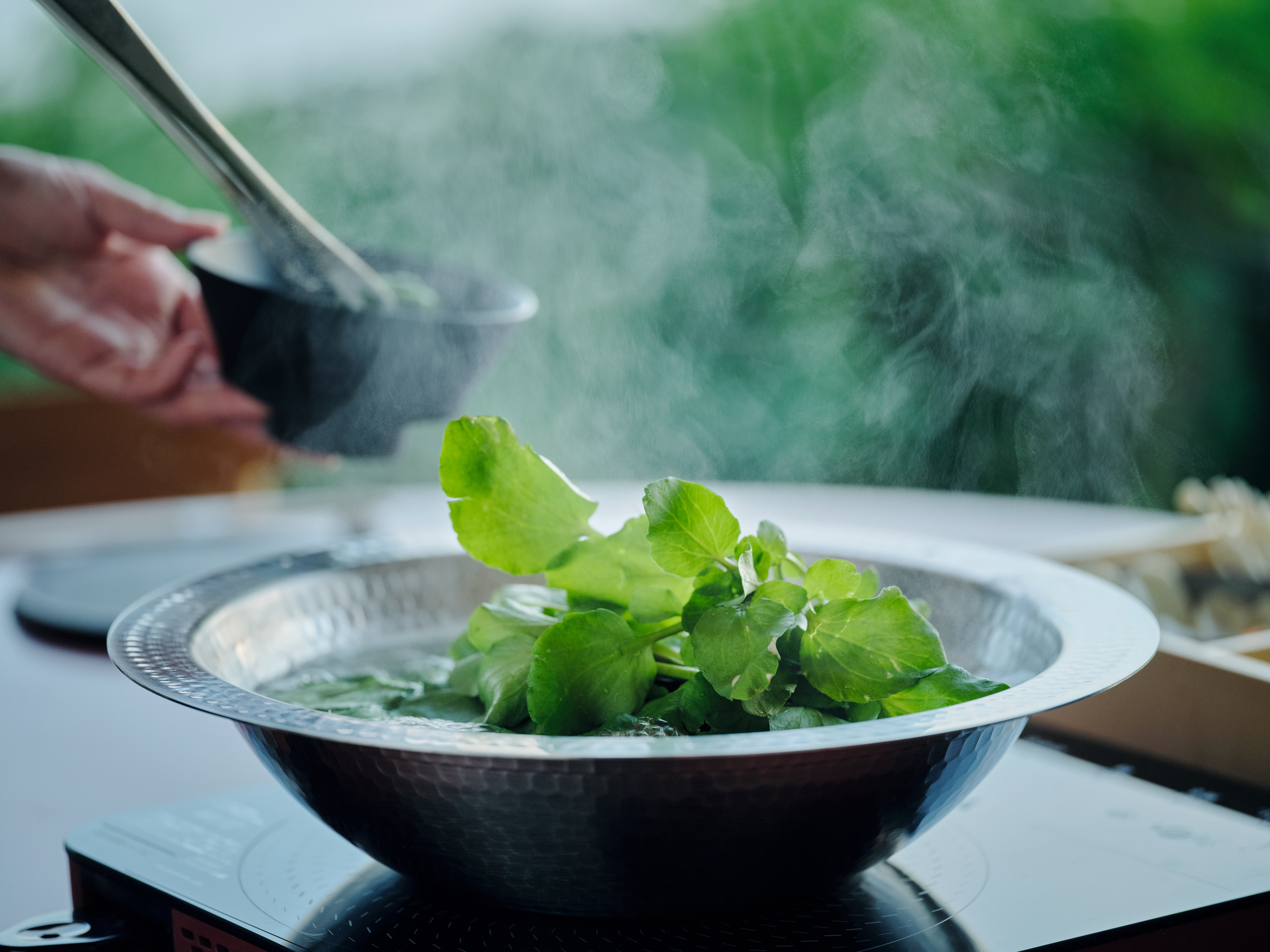 「記憶に残る時間は、丁寧な一皿から。」心と技を込めて届ける宿の料理人、募集中。