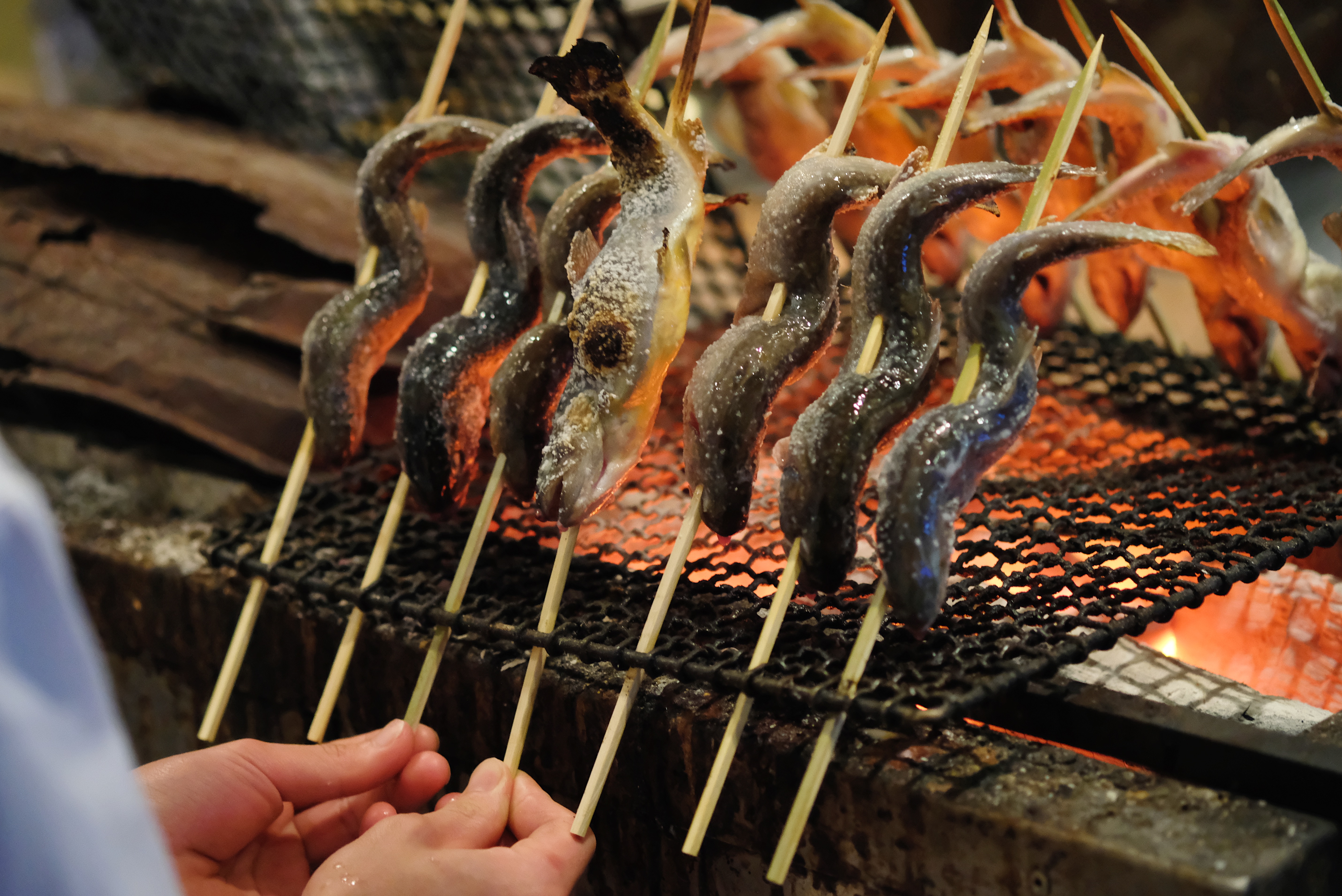 長野直送の新鮮な川魚が自慢の居酒屋です。あなたも上質な食材を扱いながら、調理スキルを磨きませんか？