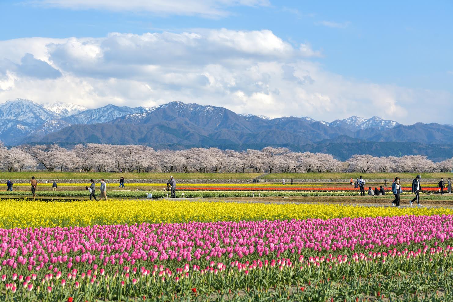 富山の美しい自然と豊かな文化に囲まれたこの地で、世界基準のホスピタリティを共に追求しませんか?