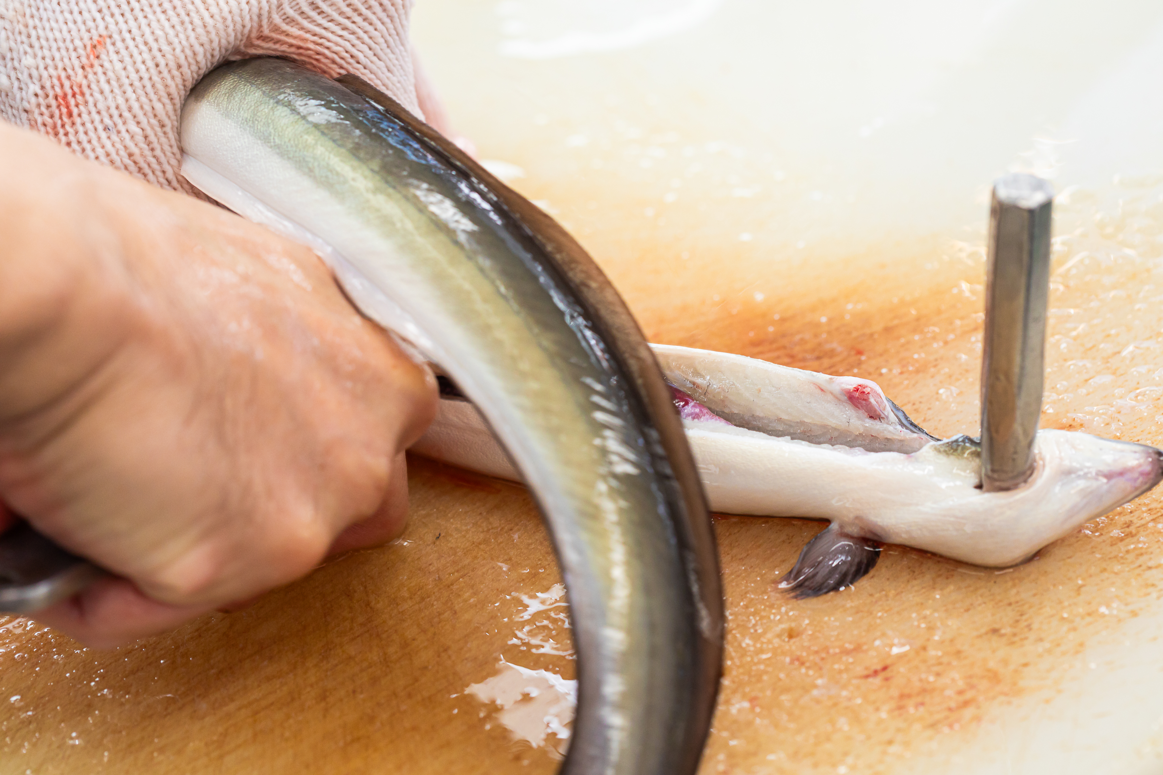 生きた二ホンウナギをその場で捌く。何よりも鮮度を大事にしています。