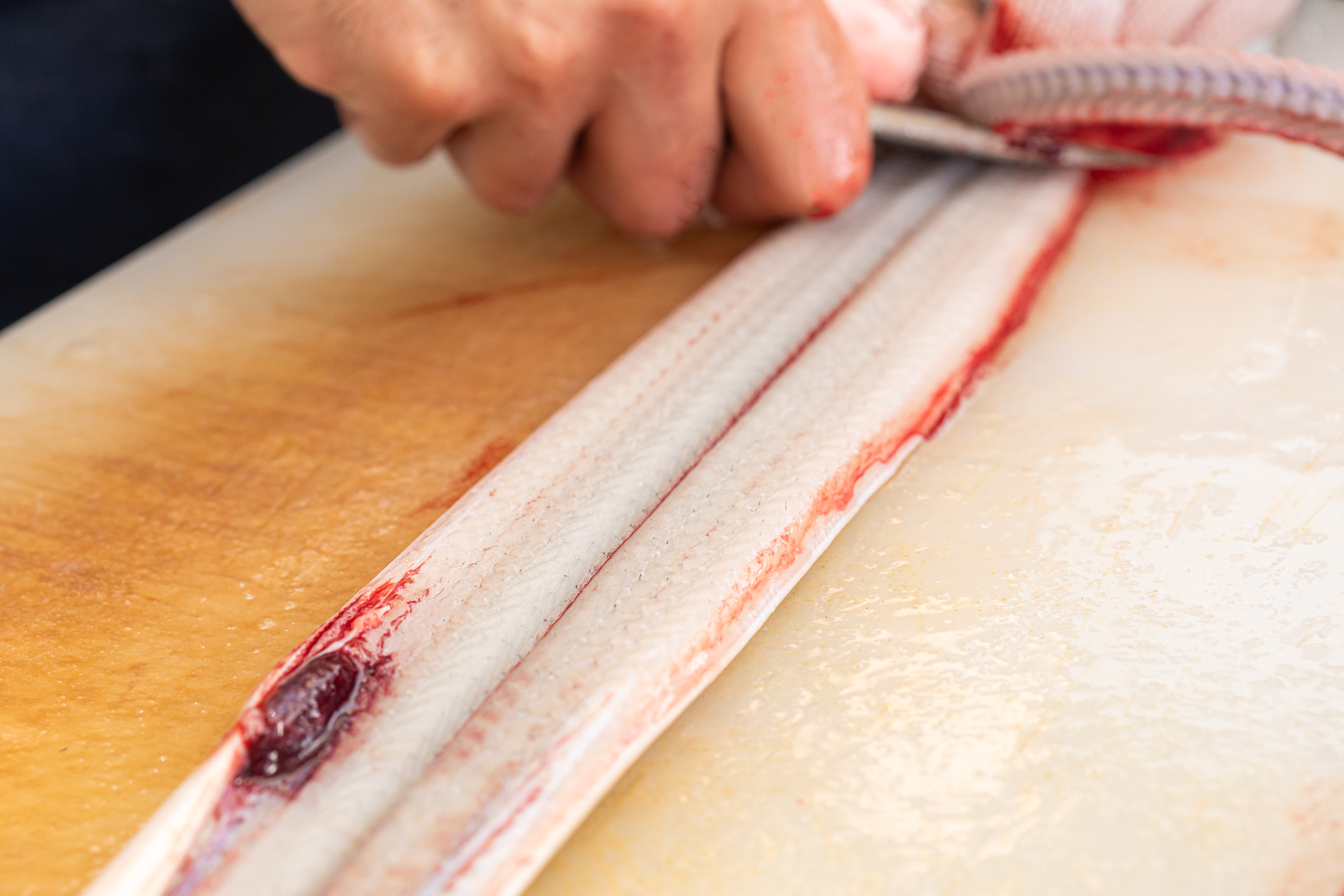 生きた二ホンウナギをその場で捌く。何よりも鮮度を大事にしています。