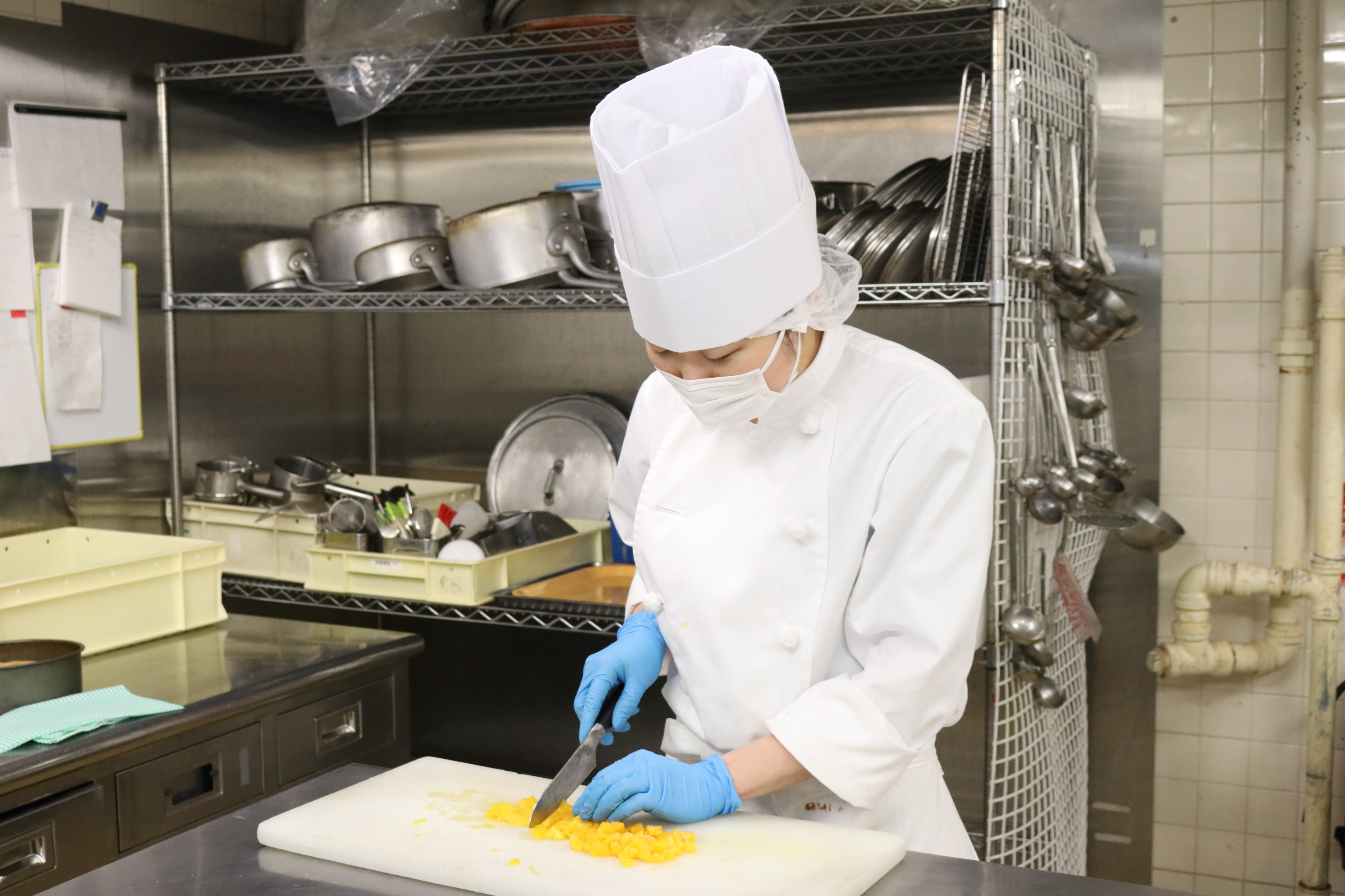 渓谷に佇むプライベートヴィラで、料理というおもてなしを極める調理スタッフ募集！