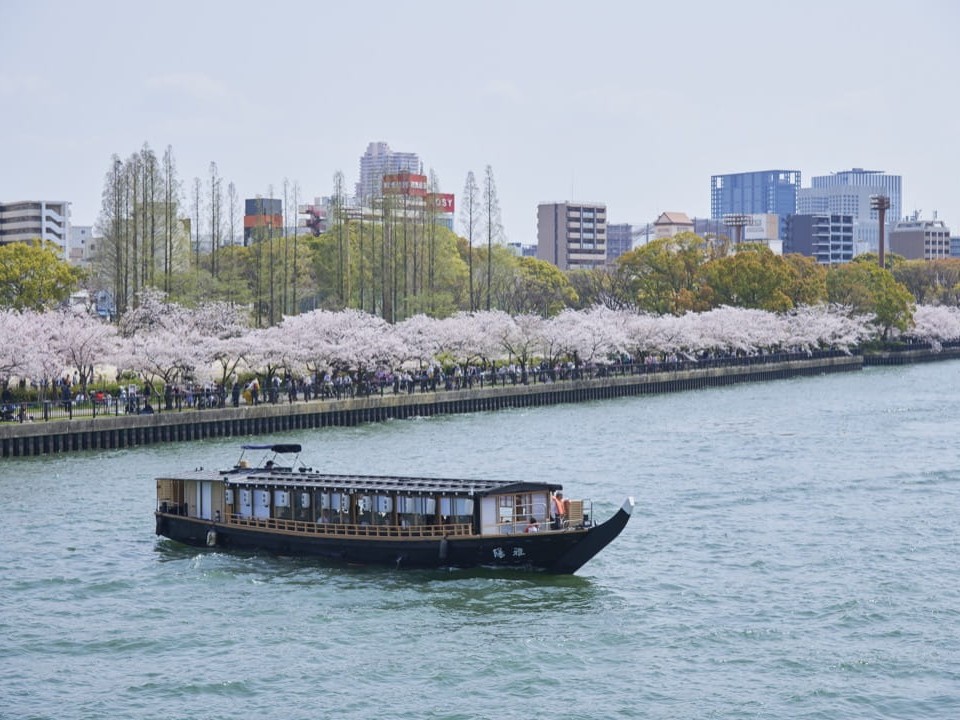 頑張りはしっかりと常に評価され、昇給・昇格にしっかりつなげていくことが可能です