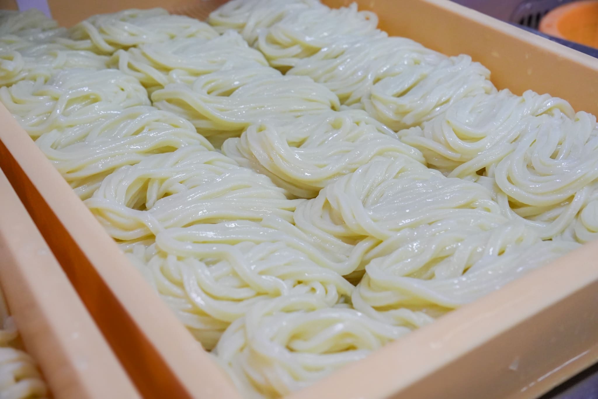 手ごねから始まる一杯。つるモチ食感の“打ちたて讃岐うどん”を自分の手で仕込みませんか?