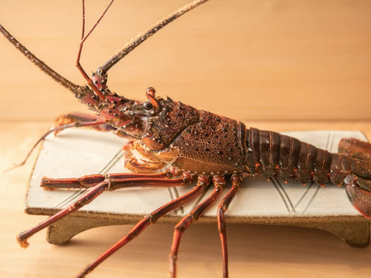 最初は仕込みや下処理から。無理のない流れで現場に入り、少しずつ厨房に馴染んでいけます