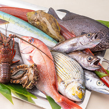 相模湾で水揚げされる新鮮な魚介も、料理人の感性を刺激する地域ならではの恵みです。