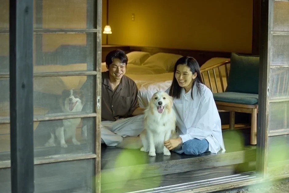 全14室の小さな宿だからこそ、一皿一皿の仕上がりまで丁寧に向き合えます。
